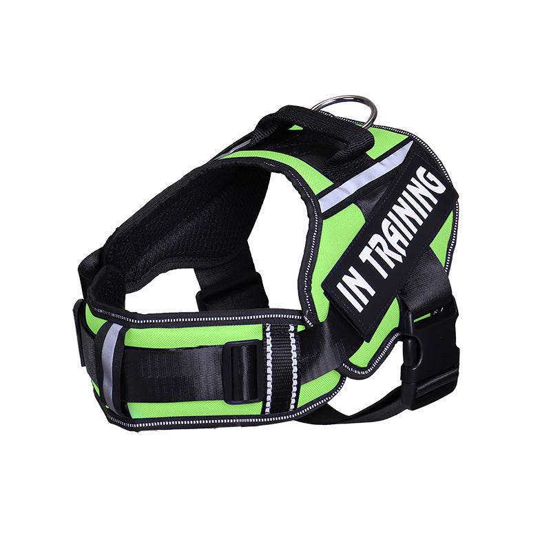 Reflective Dog Leash For Chest Harness Customization - P12 Hub Europe