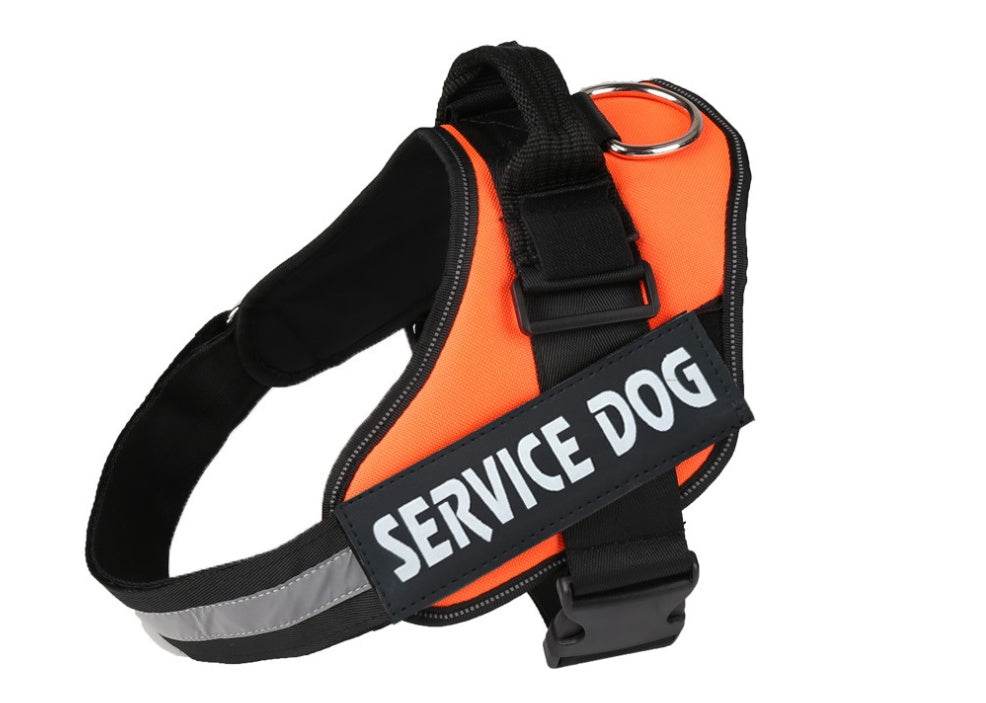 Pet chest strap with dog leash - P12 Hub Europe