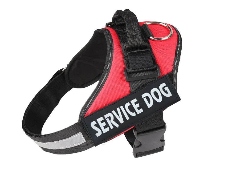 Pet chest strap with dog leash - P12 Hub Europe