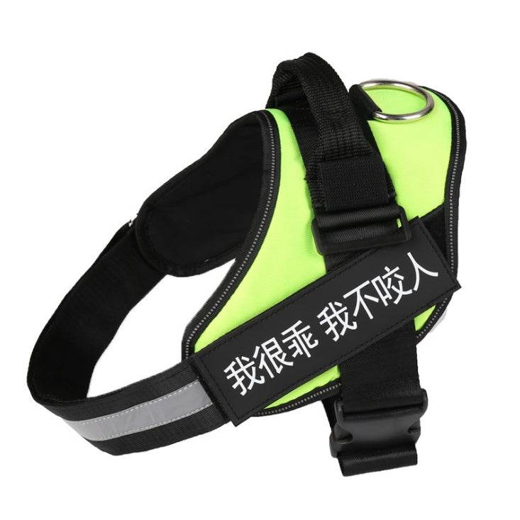 Pet chest strap with dog leash - P12 Hub Europe