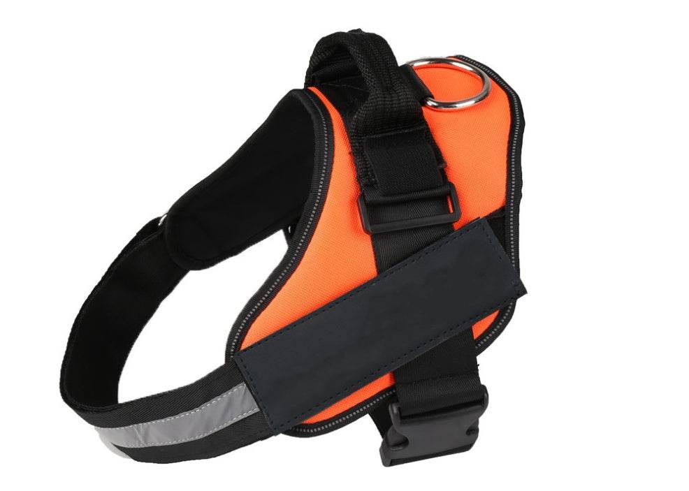 Pet chest strap with dog leash - P12 Hub Europe