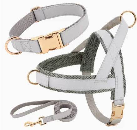 Personalized Dog Harness Leash Set - P12 Hub Europe
