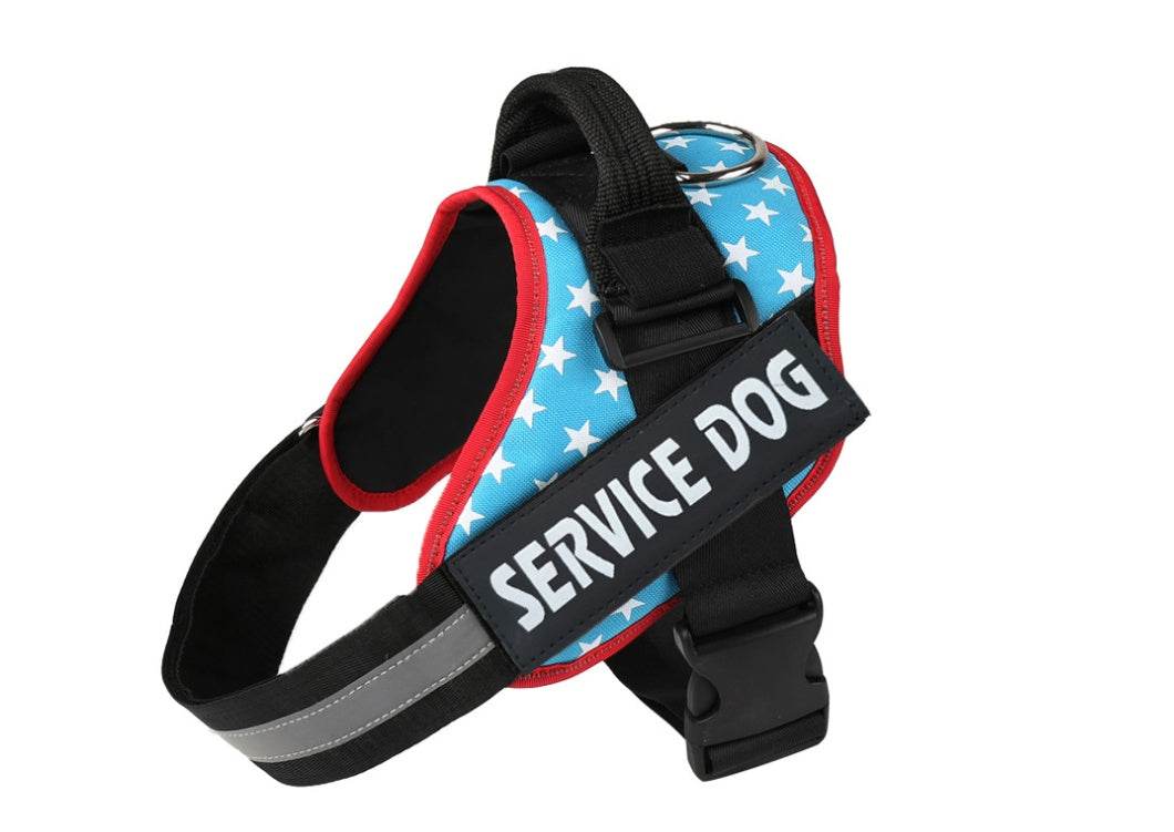 Pet chest strap with dog leash - P12 Hub Europe