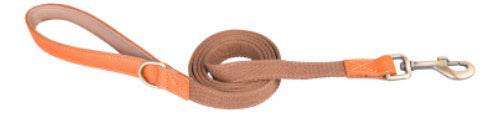 Cowhide Pet Collar Anti Lettering Lost Dog - P12 Hub Europe