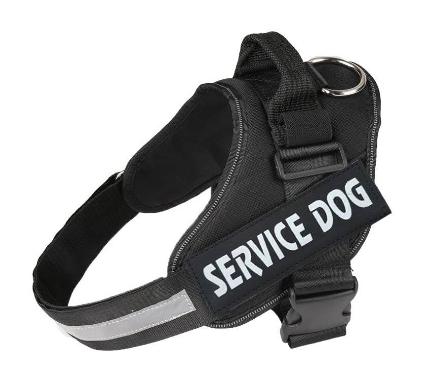 Pet chest strap with dog leash - P12 Hub Europe