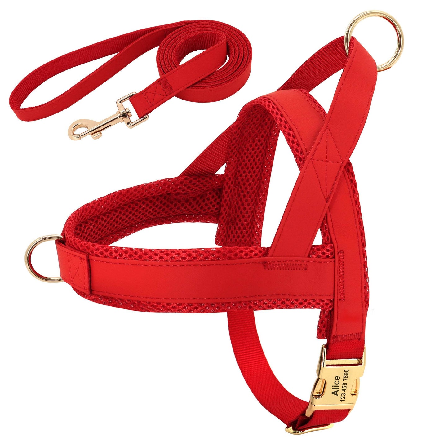 Personalized Dog Harness Leash Set - P12 Hub Europe