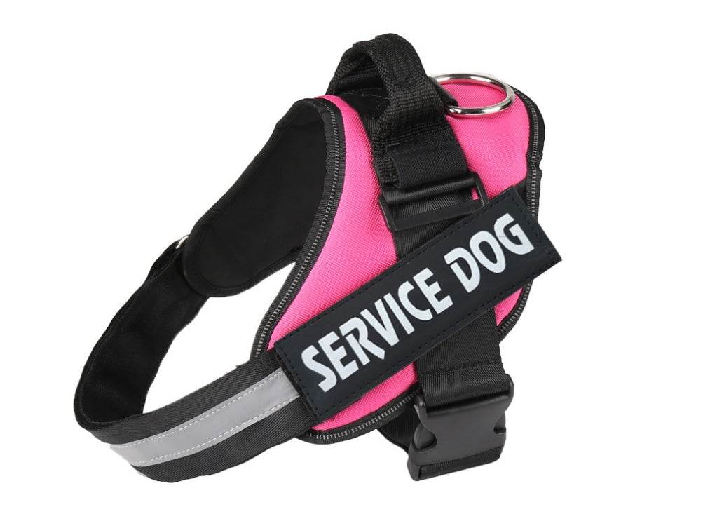 Pet chest strap with dog leash - P12 Hub Europe