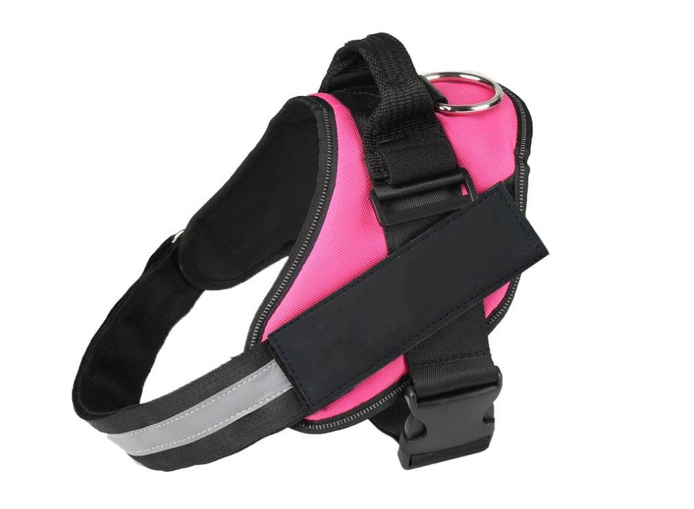 Pet chest strap with dog leash - P12 Hub Europe