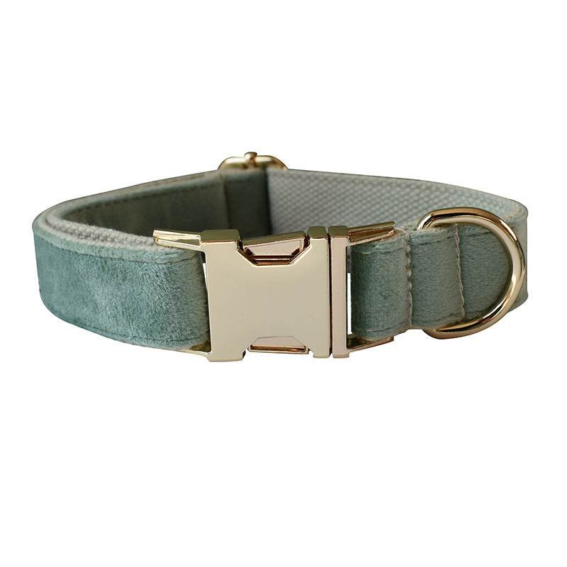 Mint Green Dog Collar Leash - P12 Hub Europe