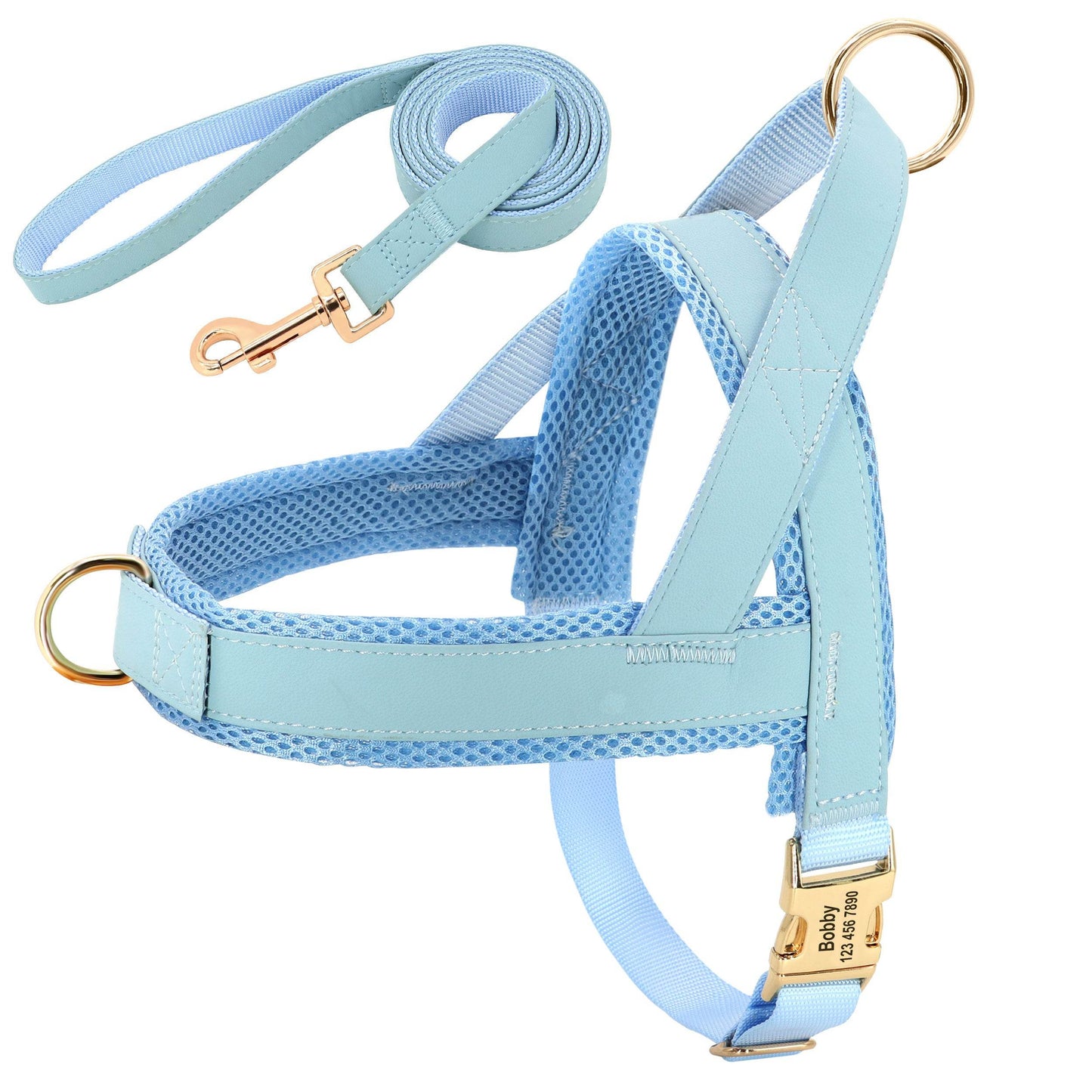 Personalized Dog Harness Leash Set - P12 Hub Europe