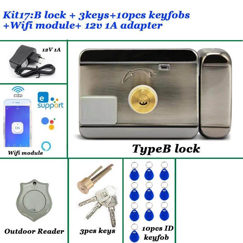 WiFi Electric Door Lock 12V RFID, Remote, Auto-Lock, Gate Opener - P12 Hub Europe