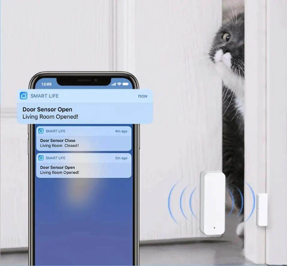 Sensor Door Tuya WiFi Contact Smart - P12 Hub Europe