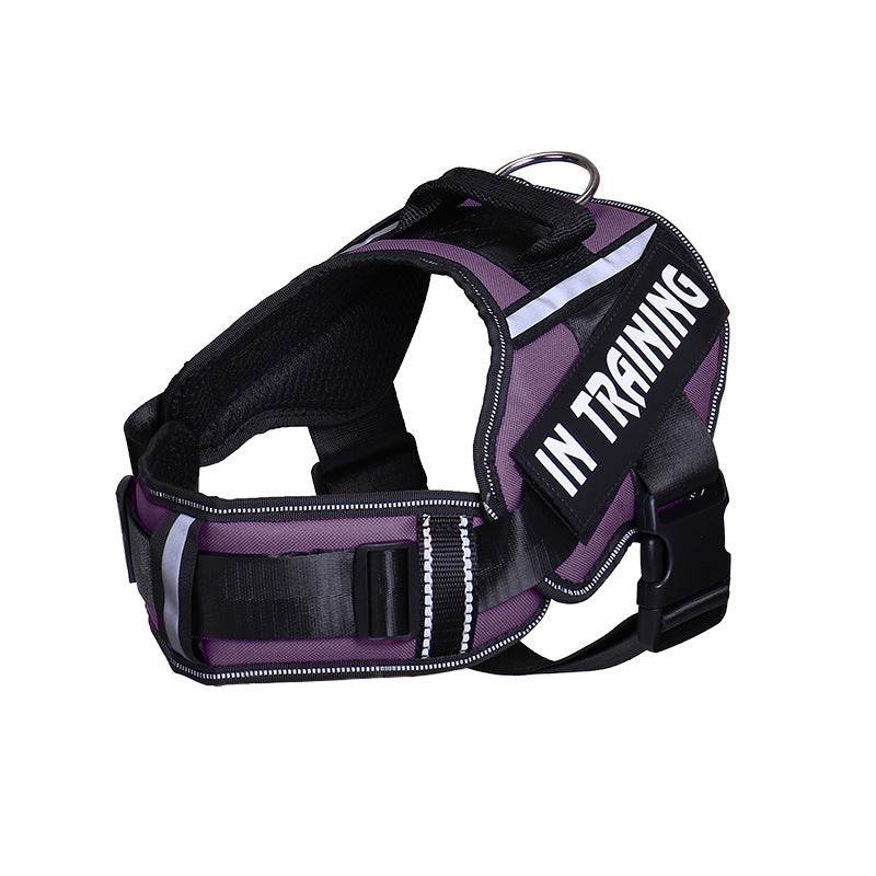 Reflective Dog Leash For Chest Harness Customization - P12 Hub Europe