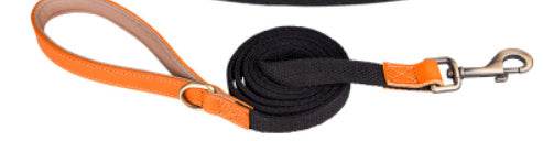 Cowhide Pet Collar Anti Lettering Lost Dog - P12 Hub Europe