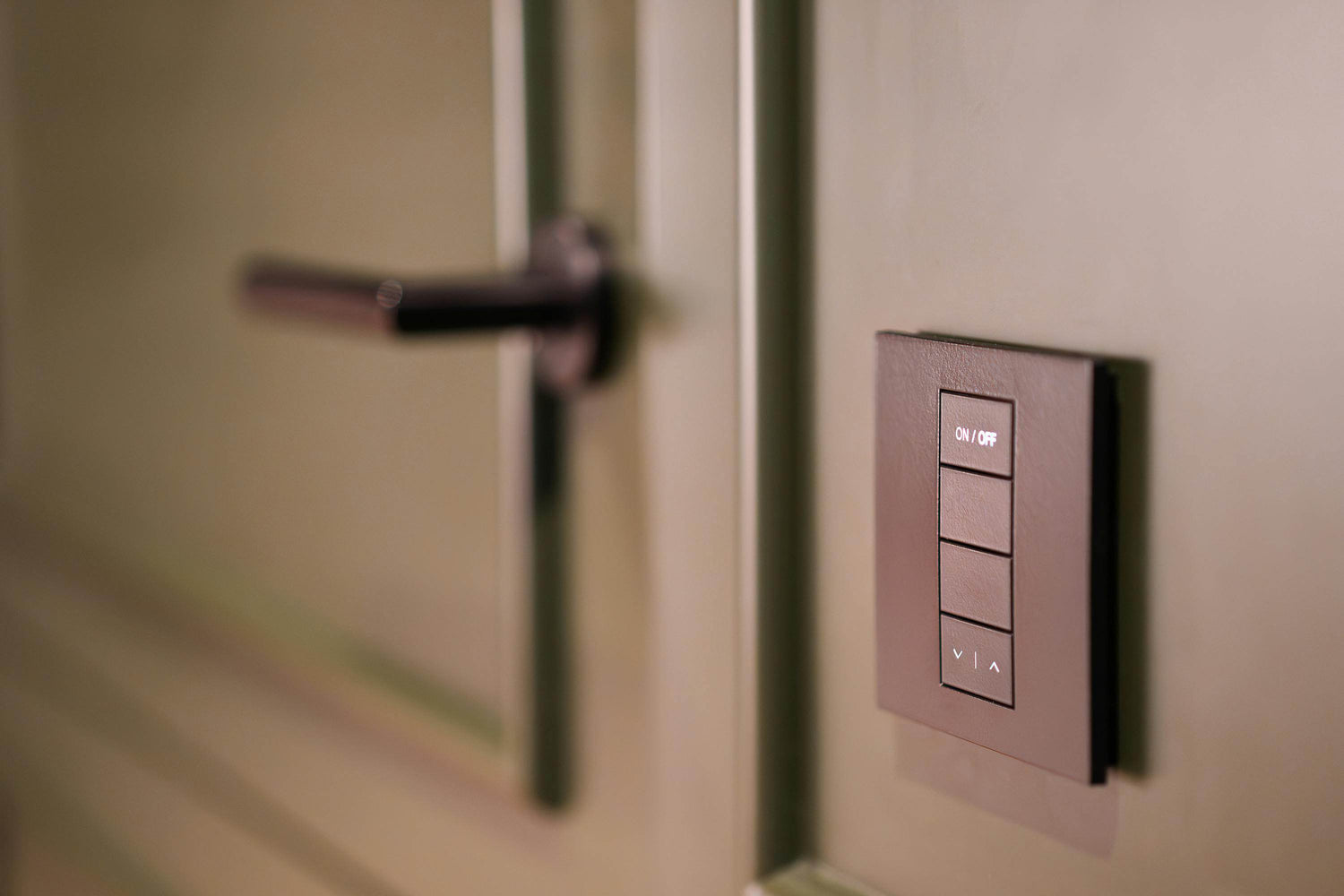 Door Remote Controls - P12 Hub Europe
