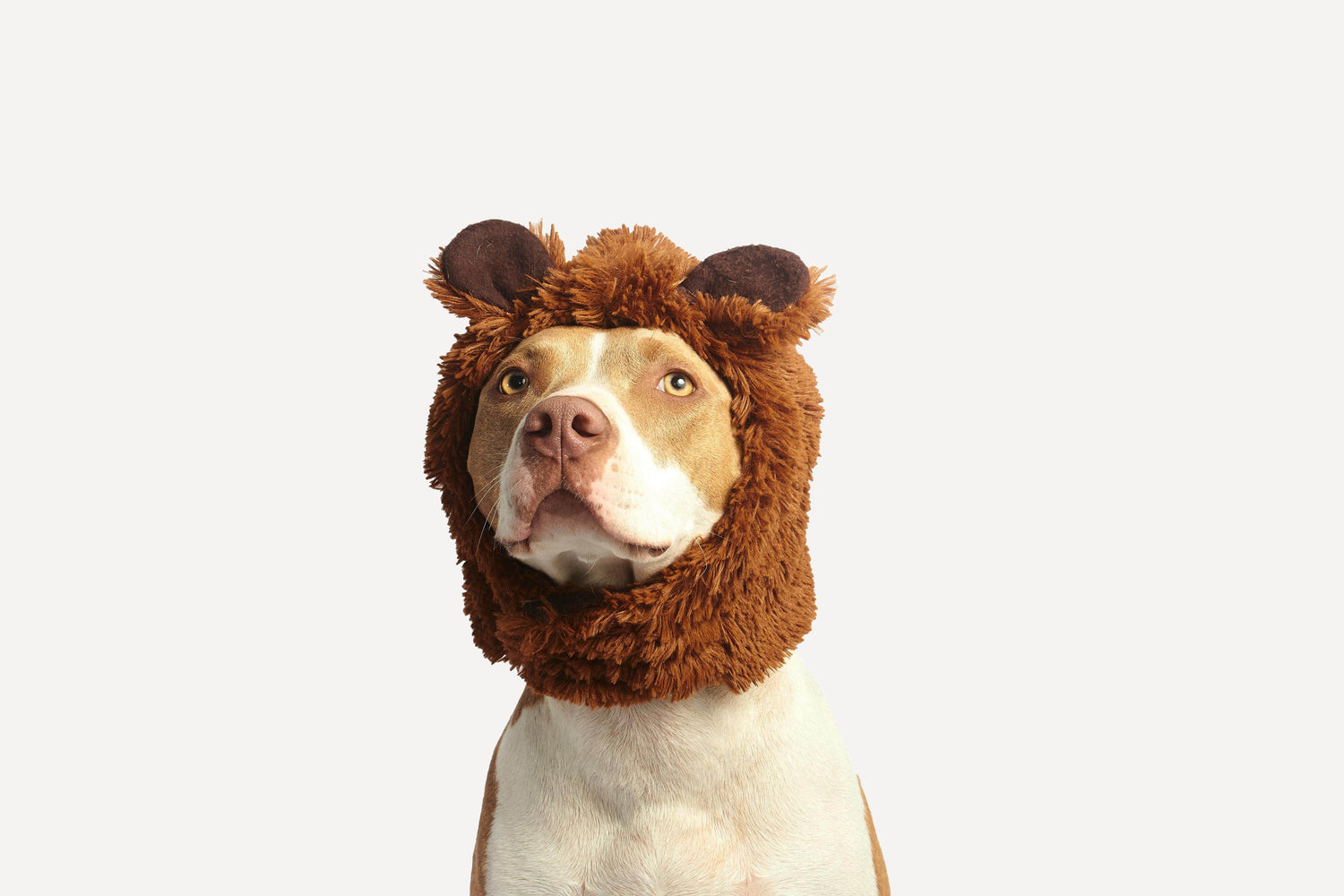Headwear - P12 Hub Europe