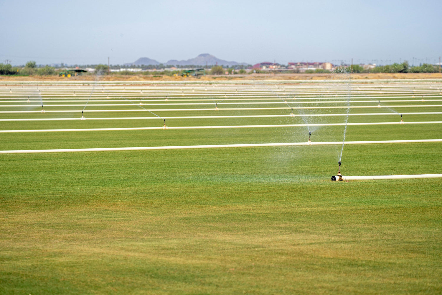 Automatic Irrigation - P12 Hub Europe