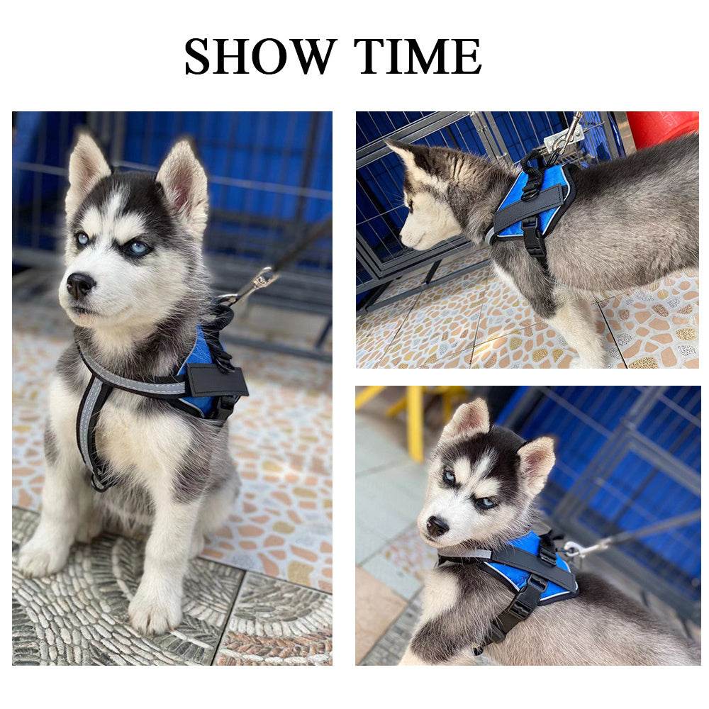 The Pet Leash Chest Harness Is Durable Comfortable And Light - P12 Hub Europe