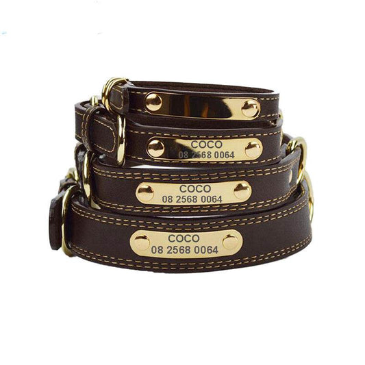 Genuine Leather Dog Collars with Engraved Nameplate - P12 Hub Europe