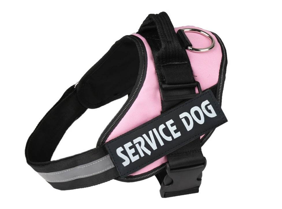 Pet chest strap with dog leash - P12 Hub Europe