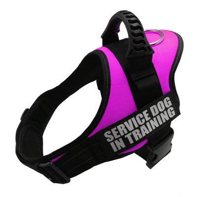 Personalized Custom Reflective Breathable Dog Harness NO PULL Adjustable Pet Harness For Small Large Dog Harness Vest With Patch - P12 Hub Europe