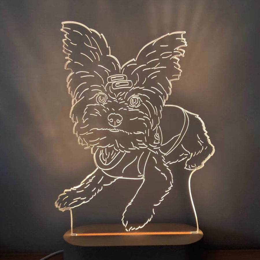 Custom Photo 3D Stereo Night Light - P12 Hub Europe