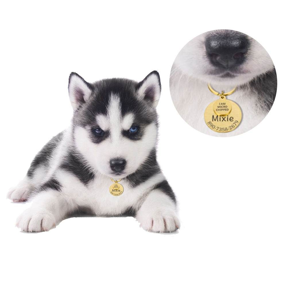 POD Pet Collar Tag Funny Keychain Dog Personalized Puppy Pet Id - P12 Hub Europe