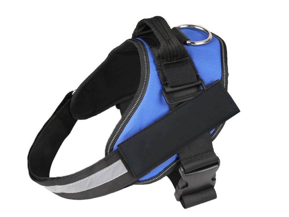 Pet chest strap with dog leash - P12 Hub Europe