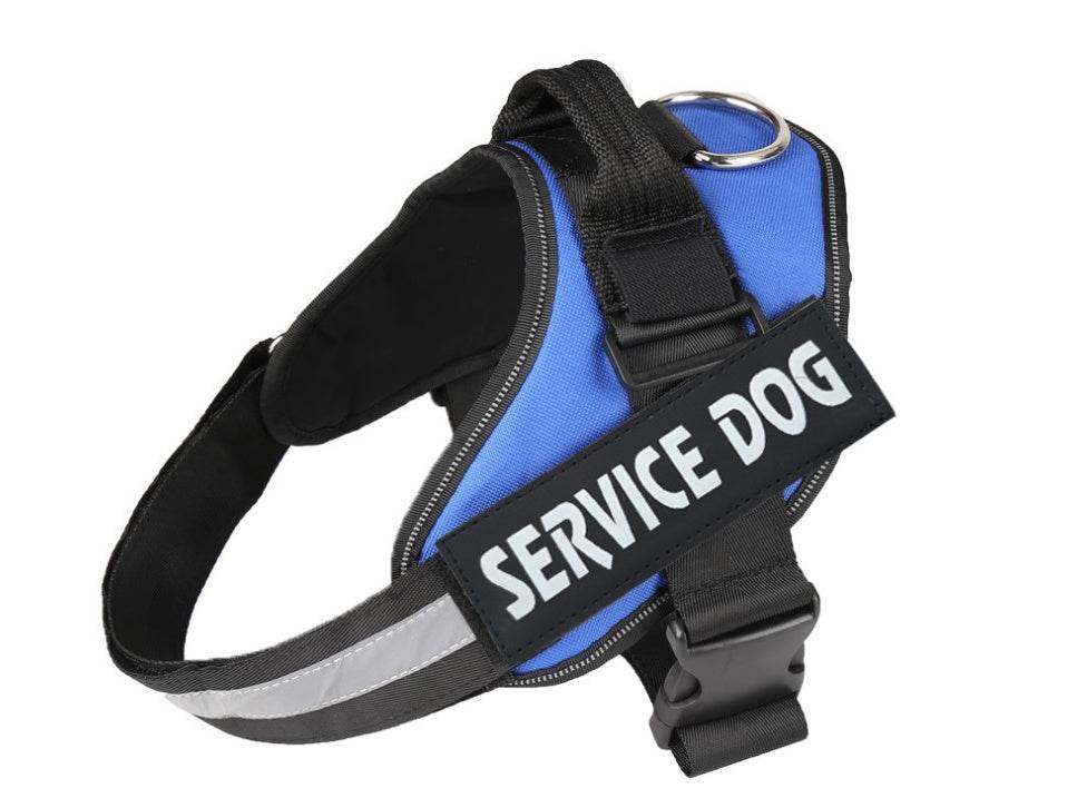 Pet chest strap with dog leash - P12 Hub Europe
