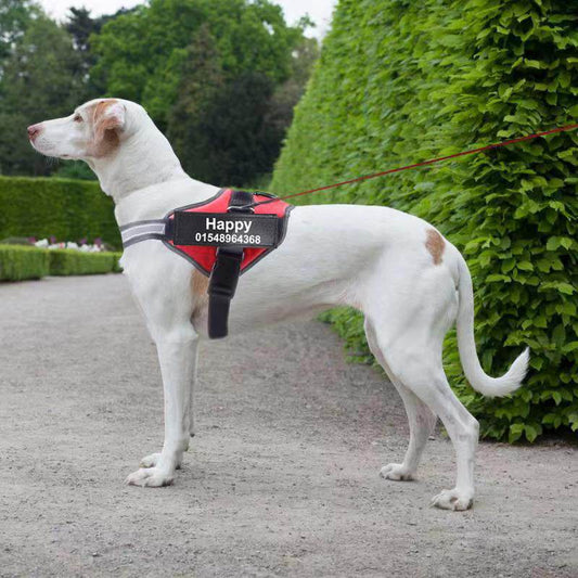 Personalized Custom Reflective Breathable Dog Harness NO PULL Adjustable Pet Harness For Small Large Dog Harness Vest With Patch - P12 Hub Europe