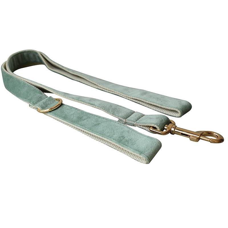 Mint Green Dog Collar Leash - P12 Hub Europe