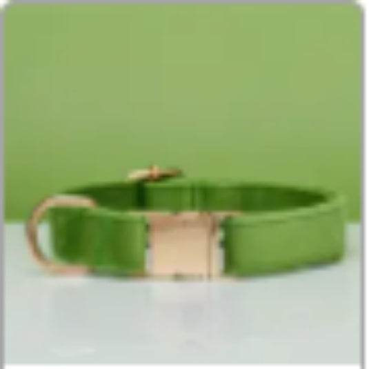 Multiple Colour Velvet Personalise Dog Collar Leash Set With Bow - P12 Hub Europe