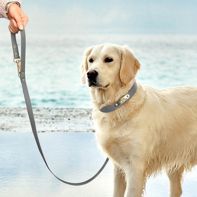 Collar Leash Medium Dog Teddy - P12 Hub Europe