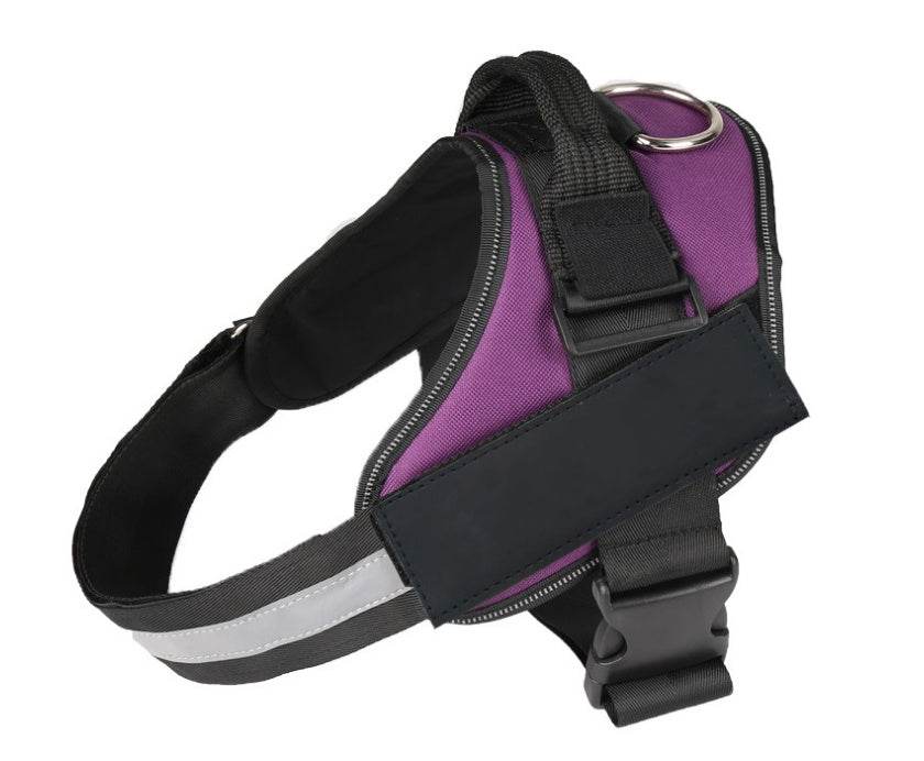 Pet chest strap with dog leash - P12 Hub Europe