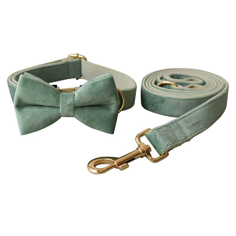 Mint Green Dog Collar Leash - P12 Hub Europe