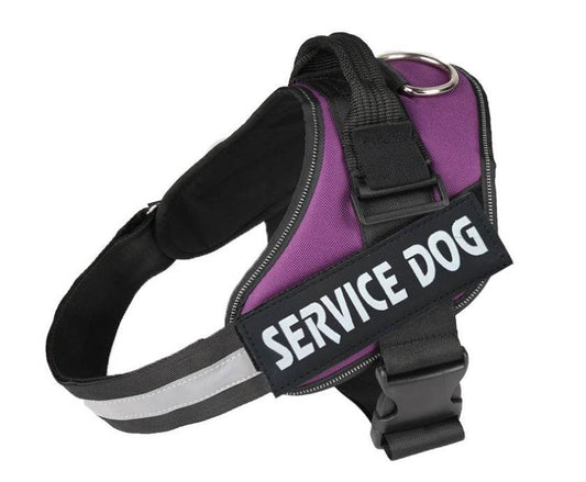 Pet chest strap with dog leash - P12 Hub Europe