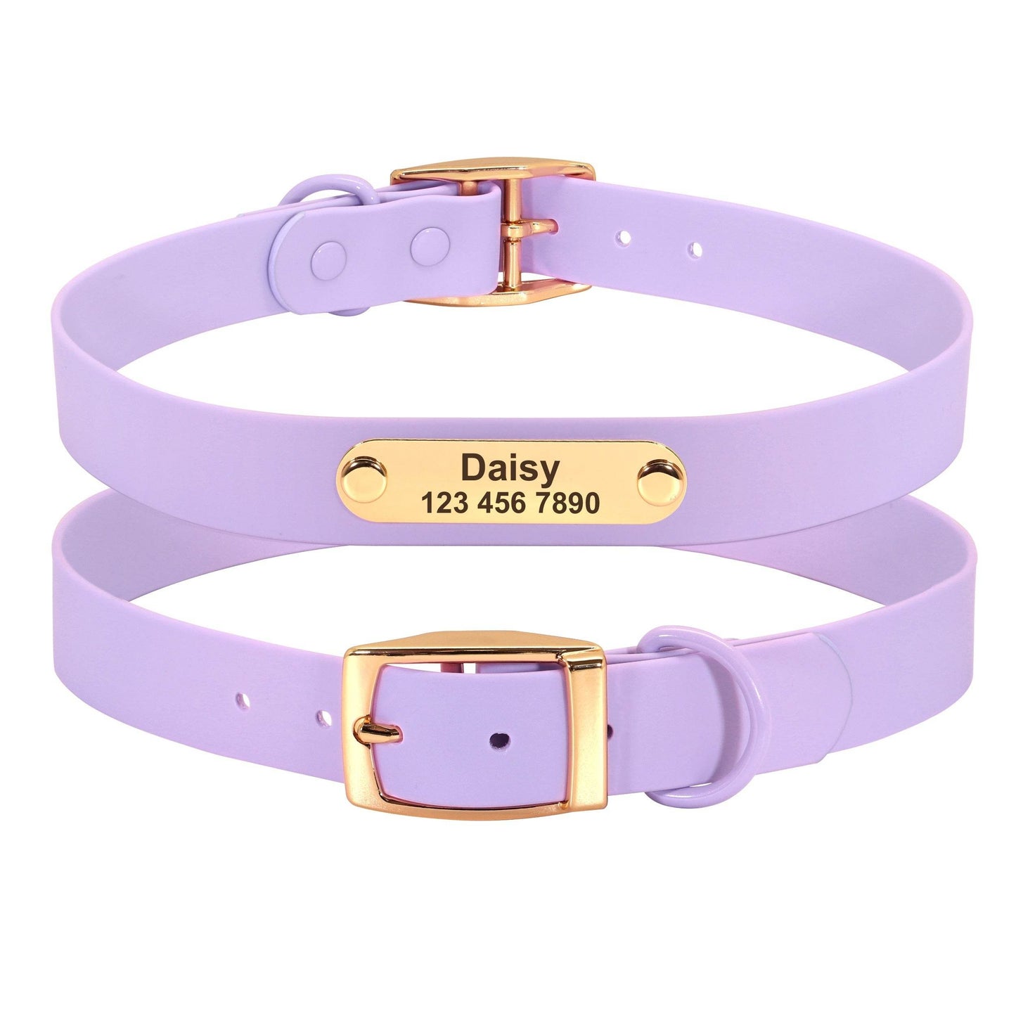 Collar Leash Medium Dog Teddy - P12 Hub Europe