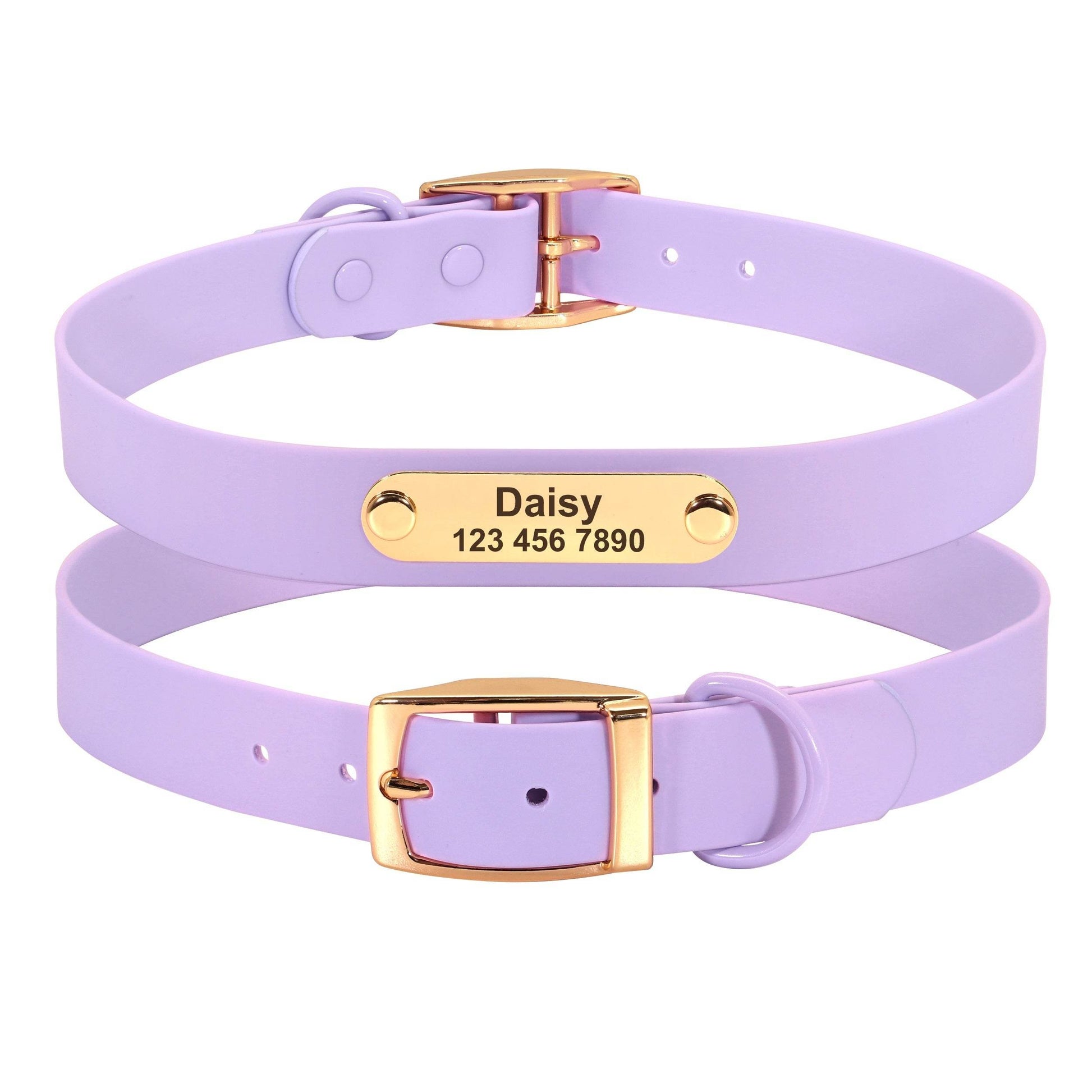 Collar Leash Medium Dog Teddy - P12 Hub Europe
