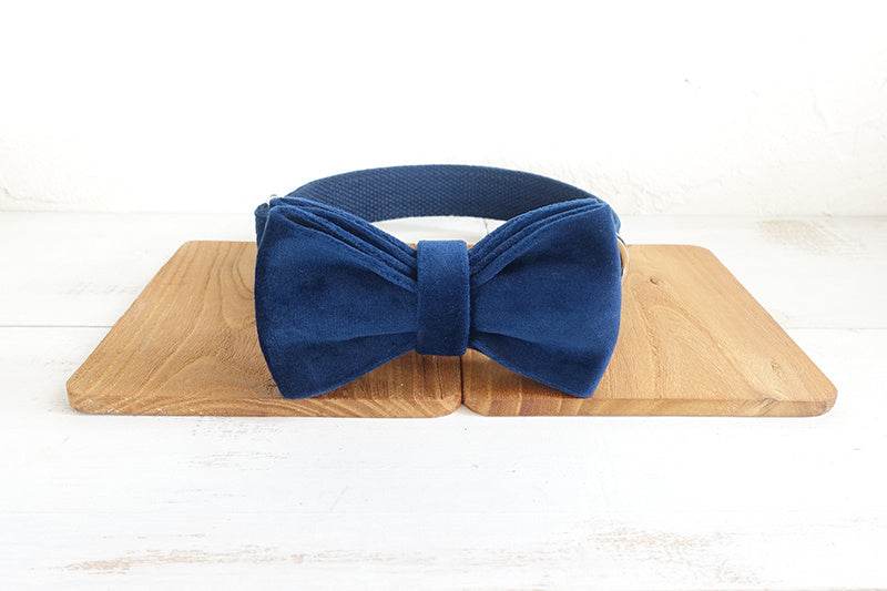 Bowknot Pet Collar Large, Medium And Small Pet Traction Collar Dog Leash - P12 Hub Europe