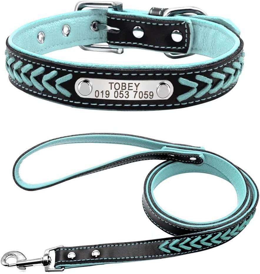Engraving anti-lost dog tag - P12 Hub Europe