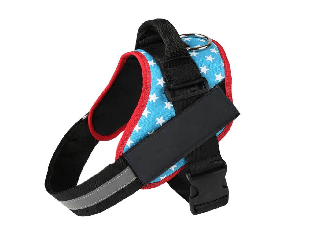 Pet chest strap with dog leash - P12 Hub Europe