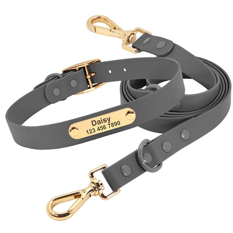 Collar Leash Medium Dog Teddy - P12 Hub Europe