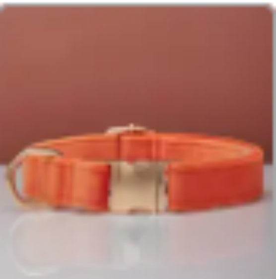 Multiple Colour Velvet Personalise Dog Collar Leash Set With Bow - P12 Hub Europe