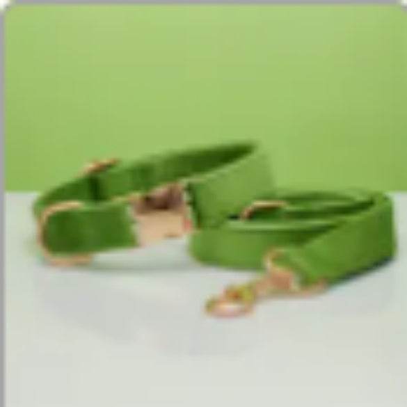Multiple Colour Velvet Personalise Dog Collar Leash Set With Bow - P12 Hub Europe