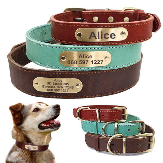 Personalized Dog Collars with Nameplate ID Tags for Medium Large Dogs - P12 Hub Europe