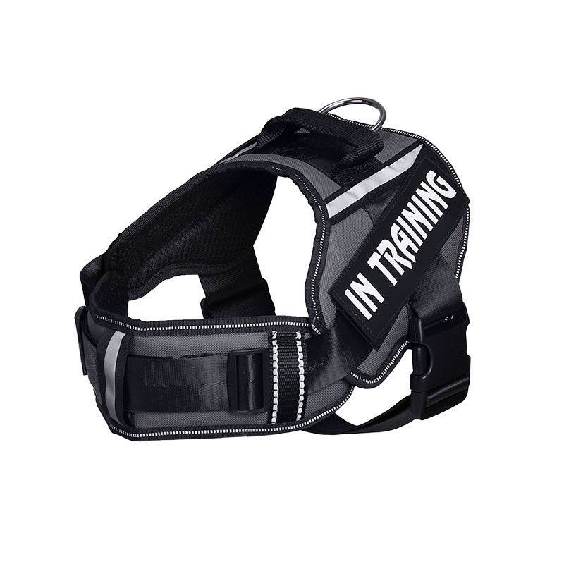 Reflective Dog Leash For Chest Harness Customization - P12 Hub Europe