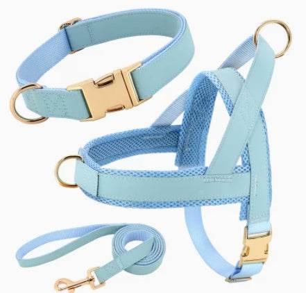 Personalized Dog Harness Leash Set - P12 Hub Europe