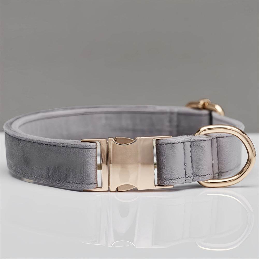 Mint Green Dog Collar Leash - P12 Hub Europe