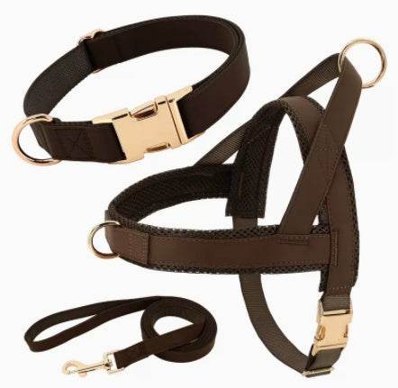 Personalized Dog Harness Leash Set - P12 Hub Europe