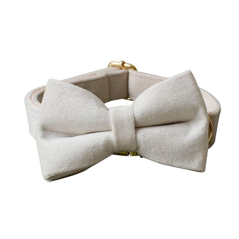 Milky White Velvet Dog Collar Alloy Buckle Pet Supplies - P12 Hub Europe